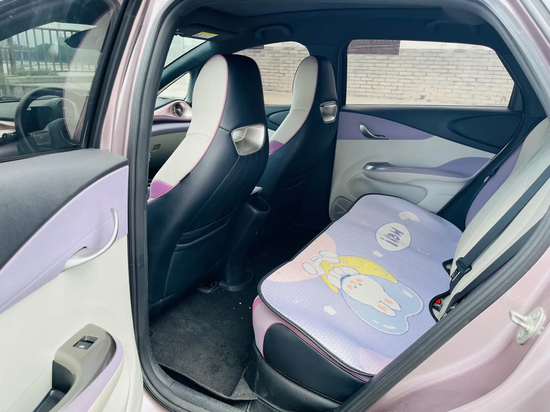 2021 BYD DOLPHIN thumbnail 4