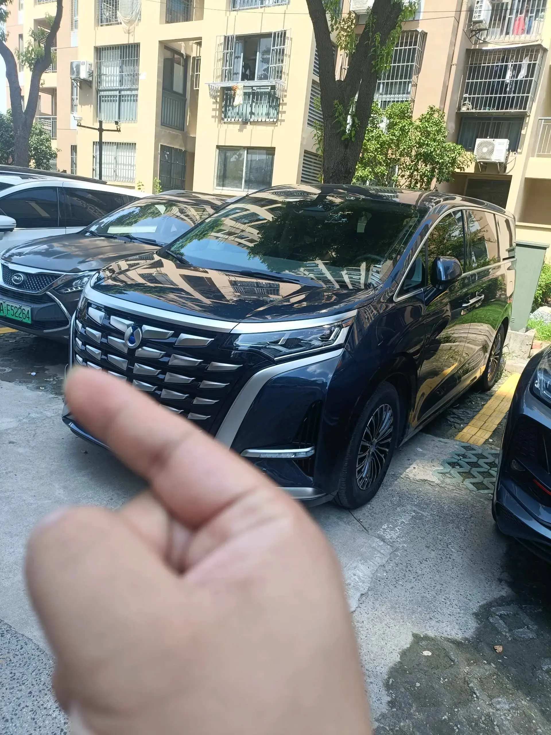 2022 DENZA D9 view 1