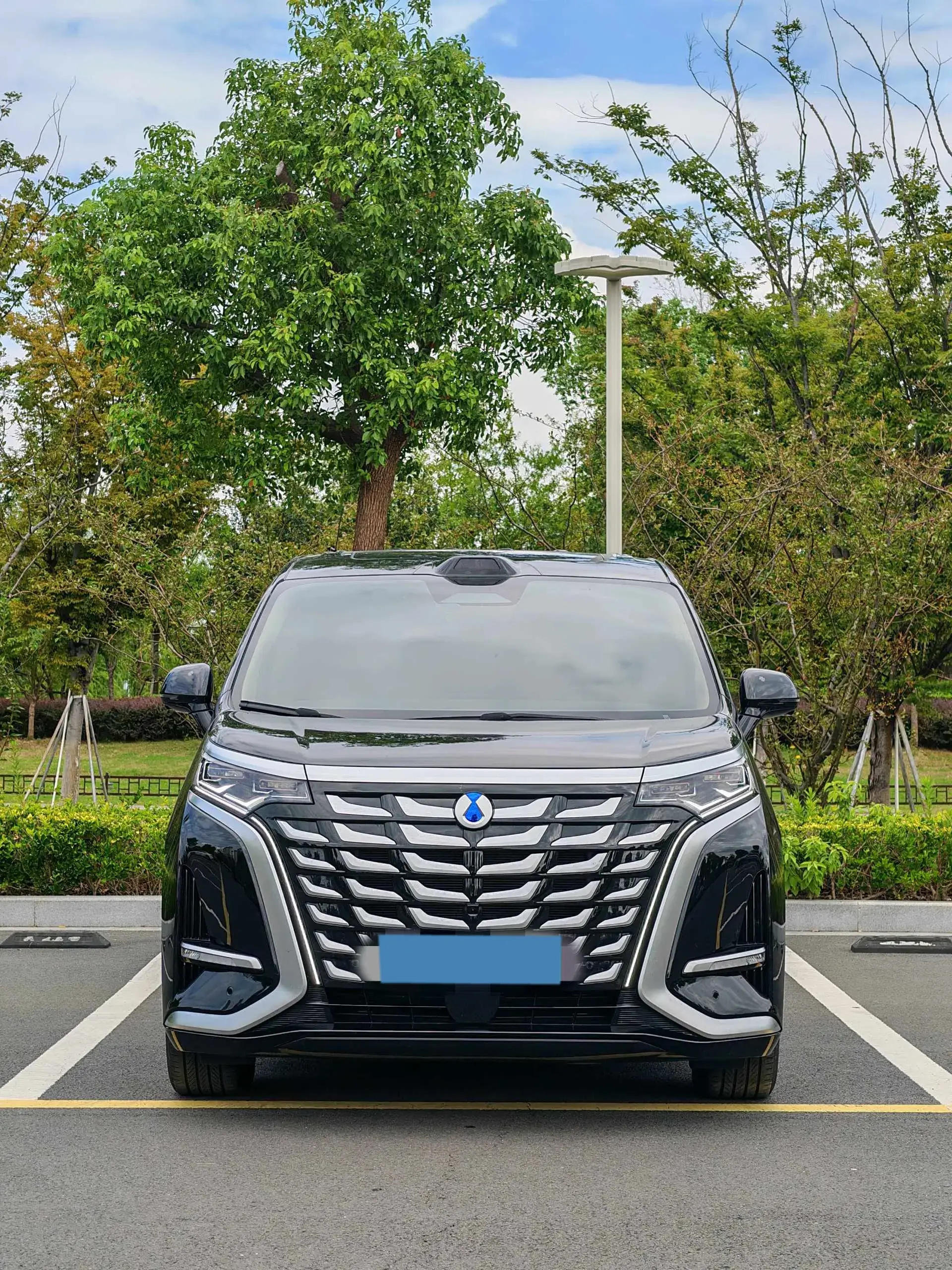 2025 DENZA D9 thumbnail 2