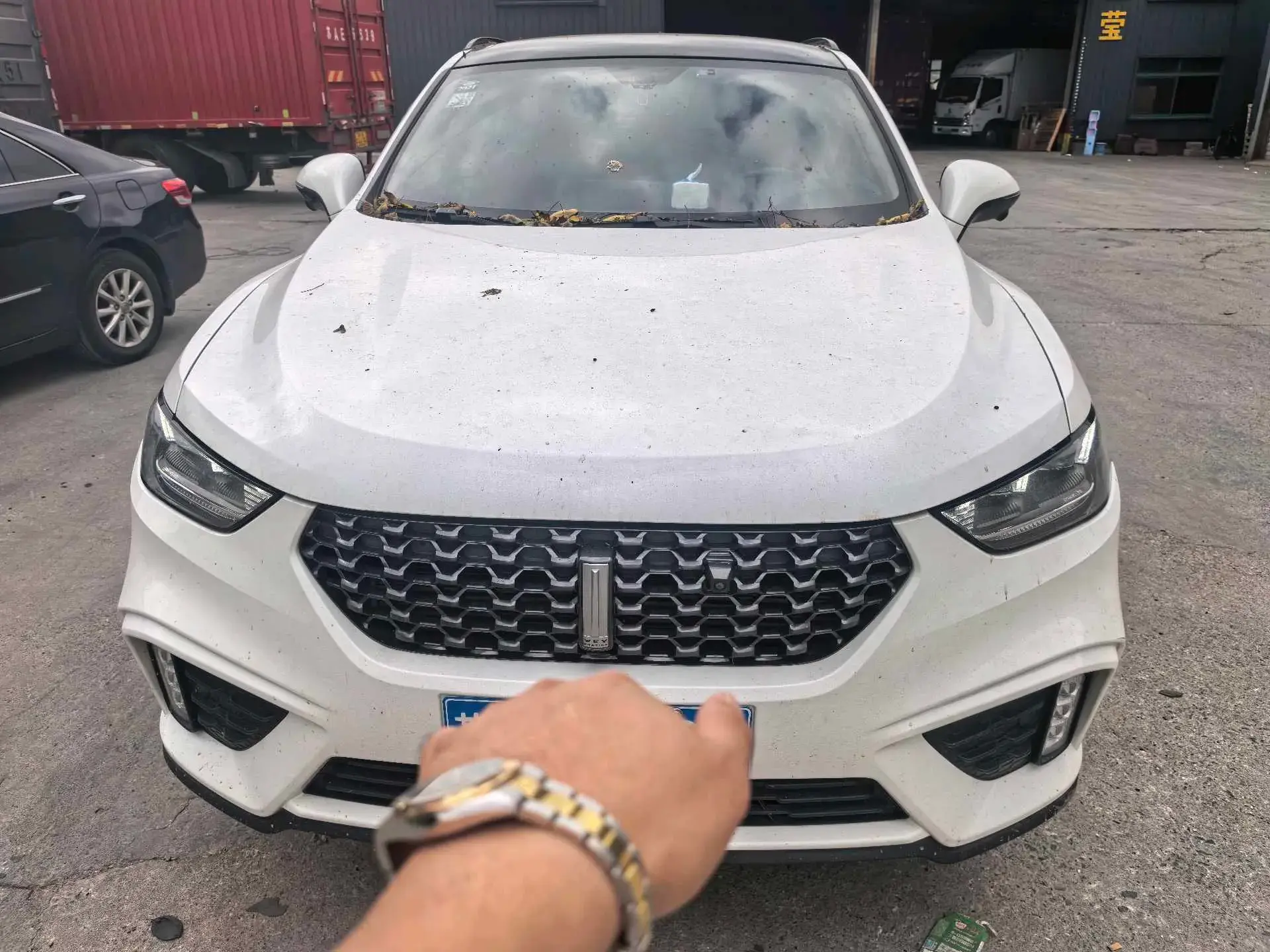 2020 WEY VV5 thumbnail 2