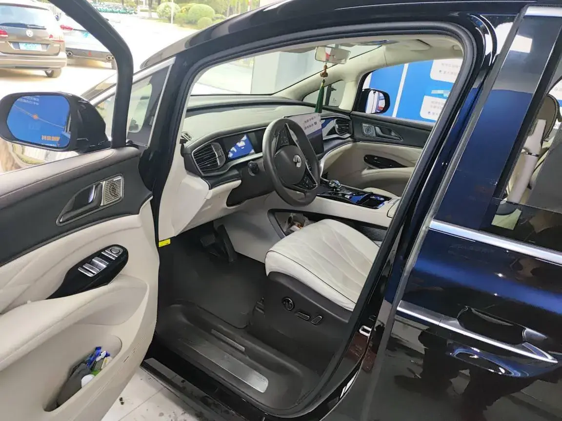 2024 DENZA D9 thumbnail 2