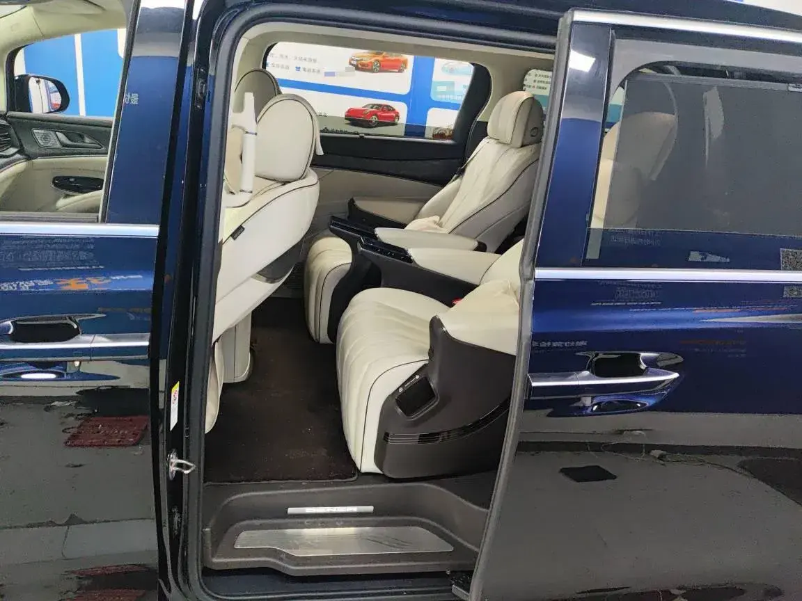 2024 DENZA D9 thumbnail 3