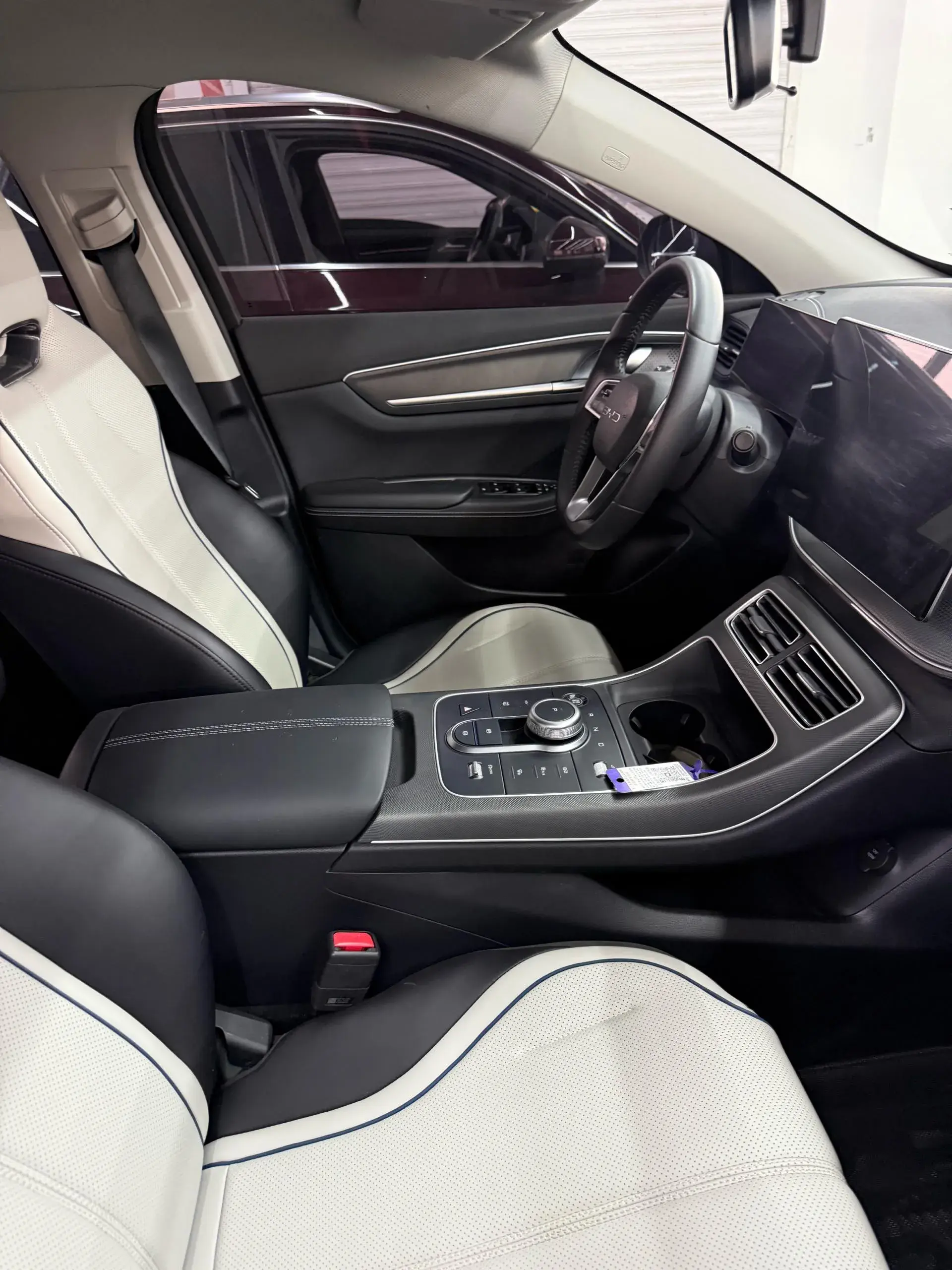 2024 BYD DESTROYER thumbnail 2