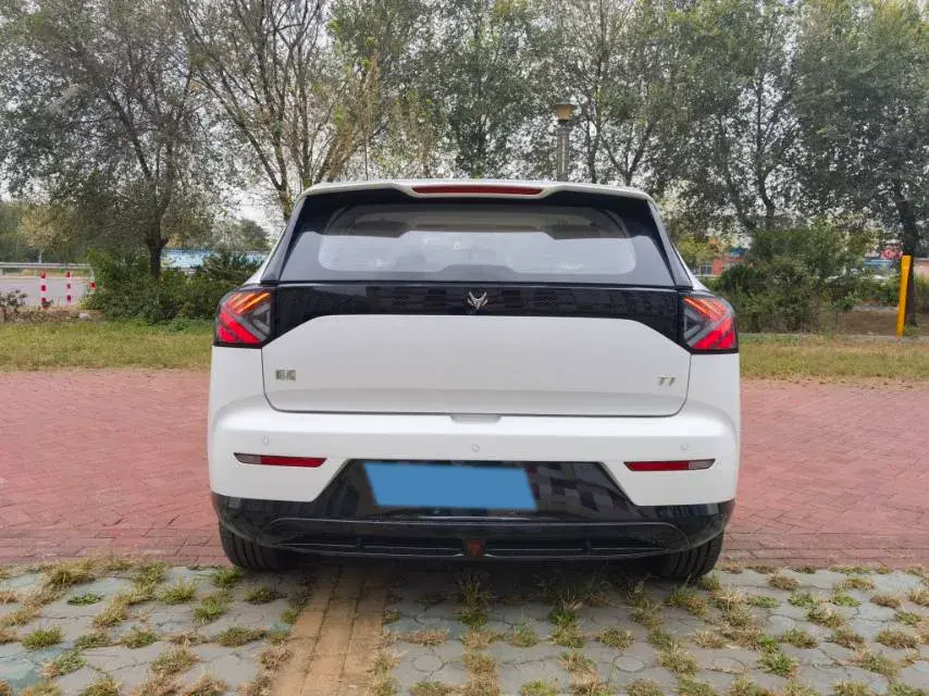 2025 ARCFOX T1 thumbnail 4