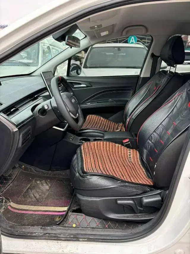 2021 NETA V thumbnail 3