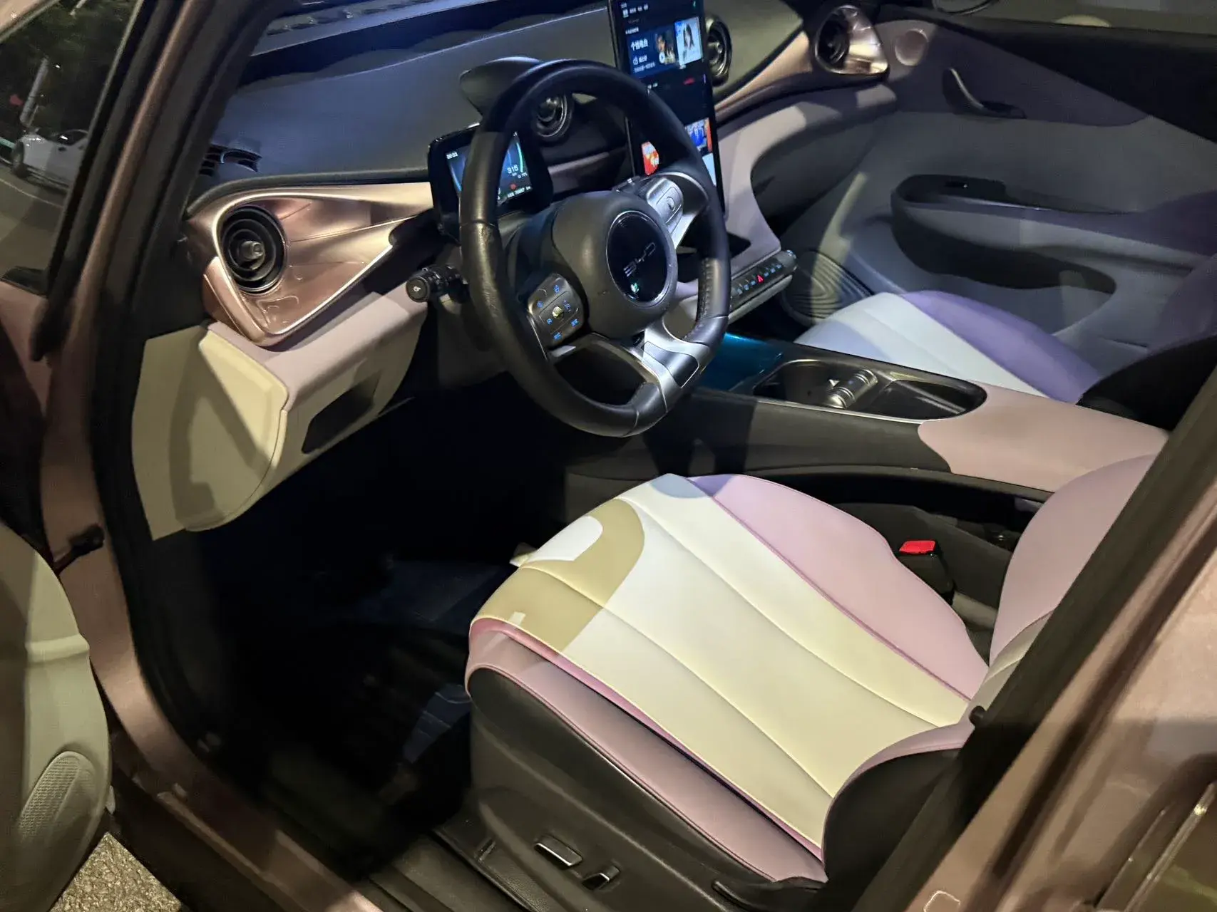 2021 BYD DOLPHIN thumbnail 3