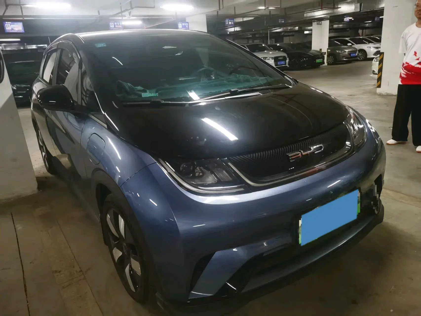 2023 BYD DOLPHIN thumbnail 3