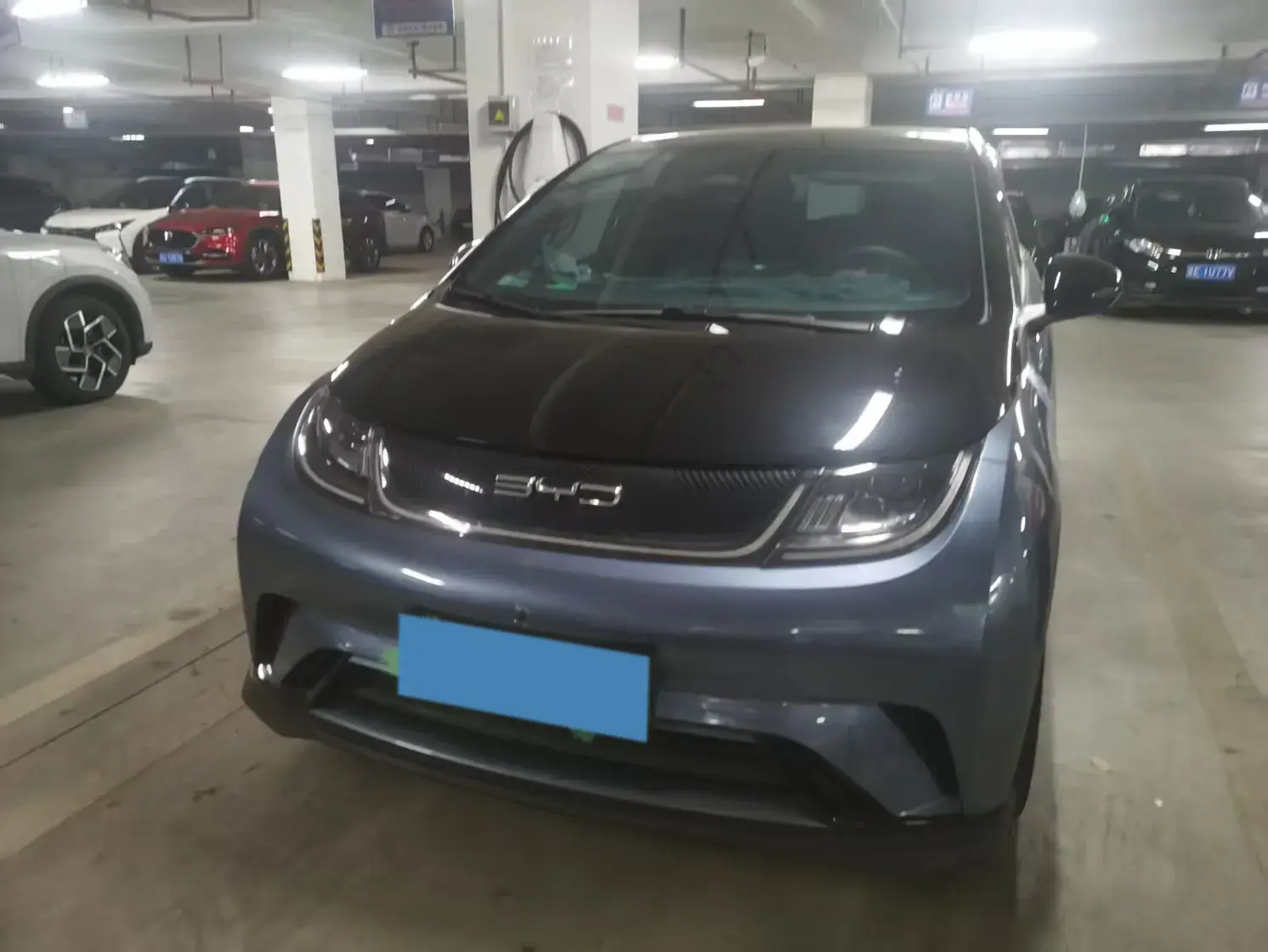 2023 BYD DOLPHIN thumbnail 2