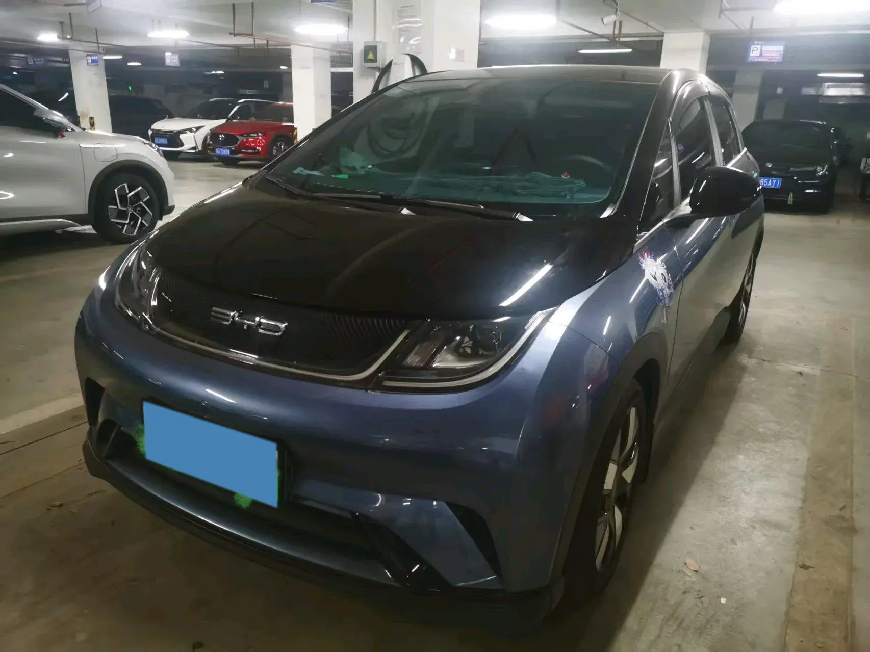 2023 BYD DOLPHIN view 1