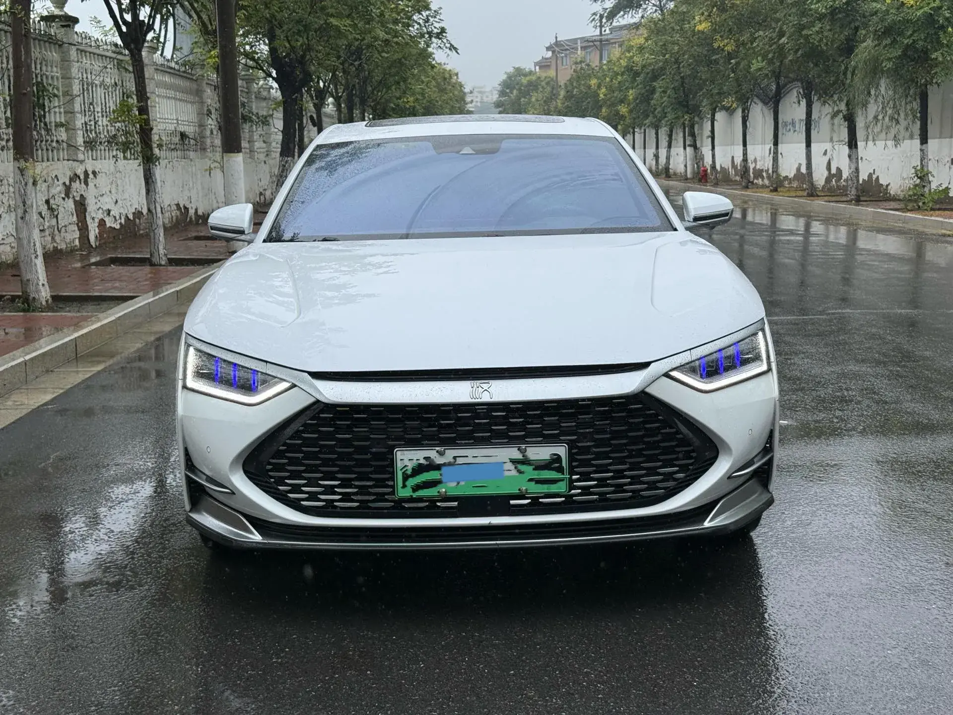 2020 BYD HAN thumbnail 2