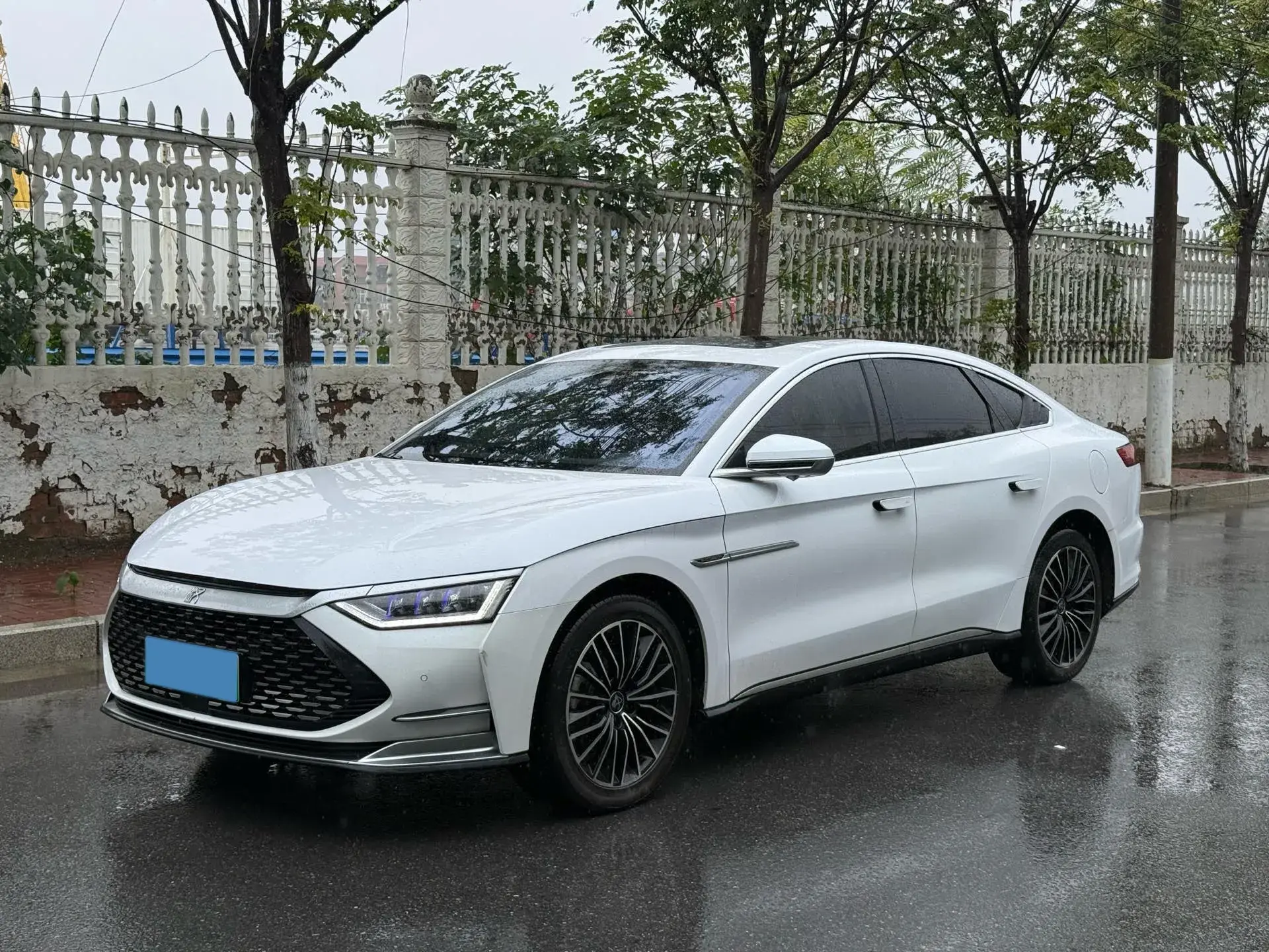 2020 BYD HAN view 1