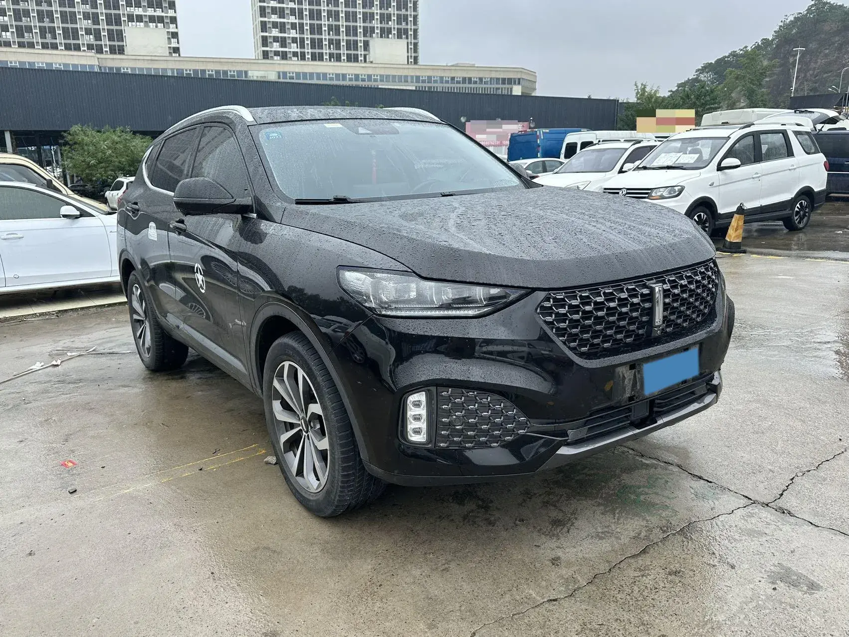 2020 WEY VV6 thumbnail 4