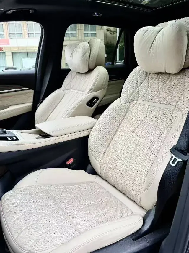 2025 GEELY MONJARO thumbnail 4