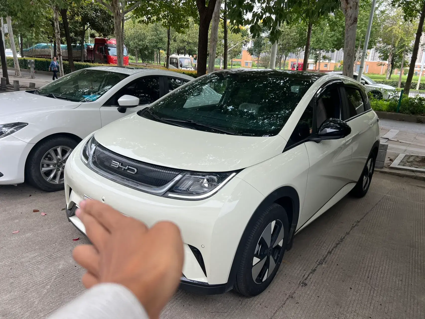 2023 BYD DOLPHIN view 1