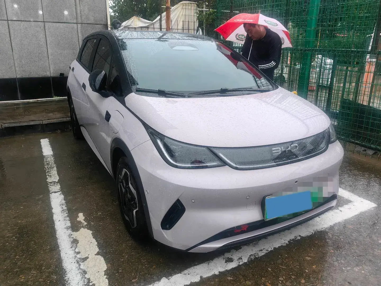 2025 BYD DOLPHIN thumbnail 3