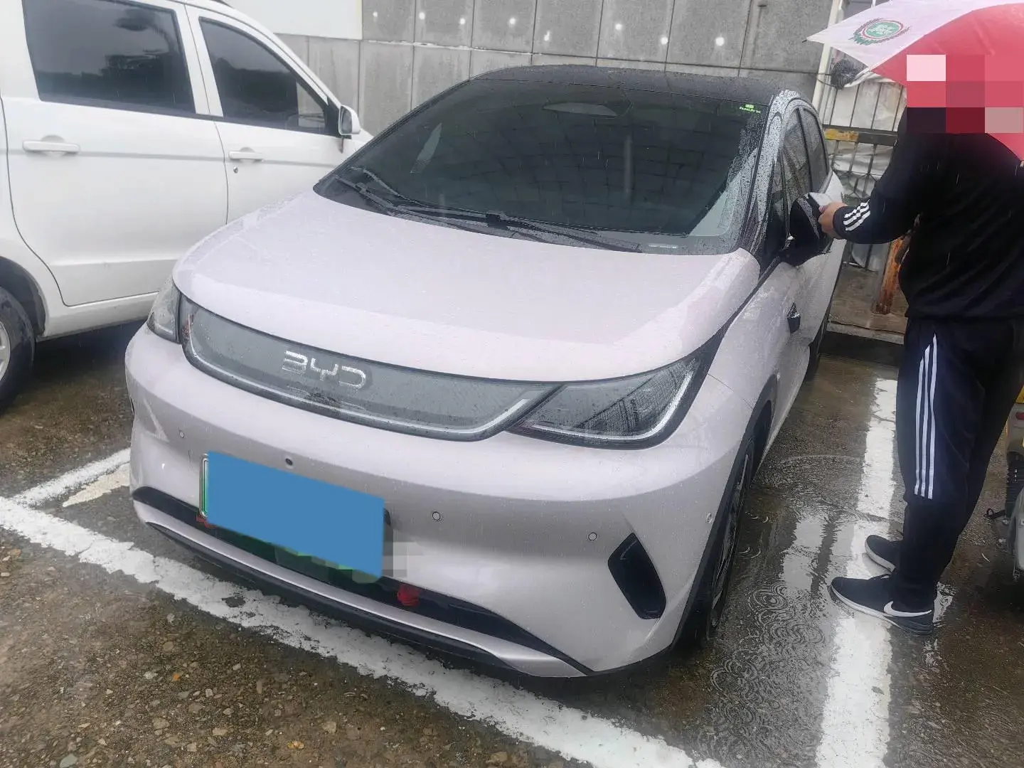 2025 BYD DOLPHIN view 1