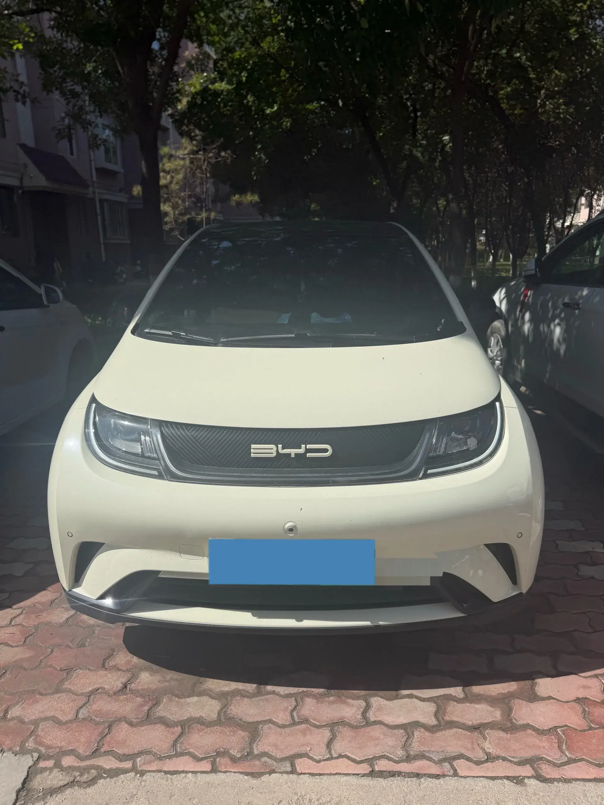 2023 BYD DOLPHIN thumbnail 3