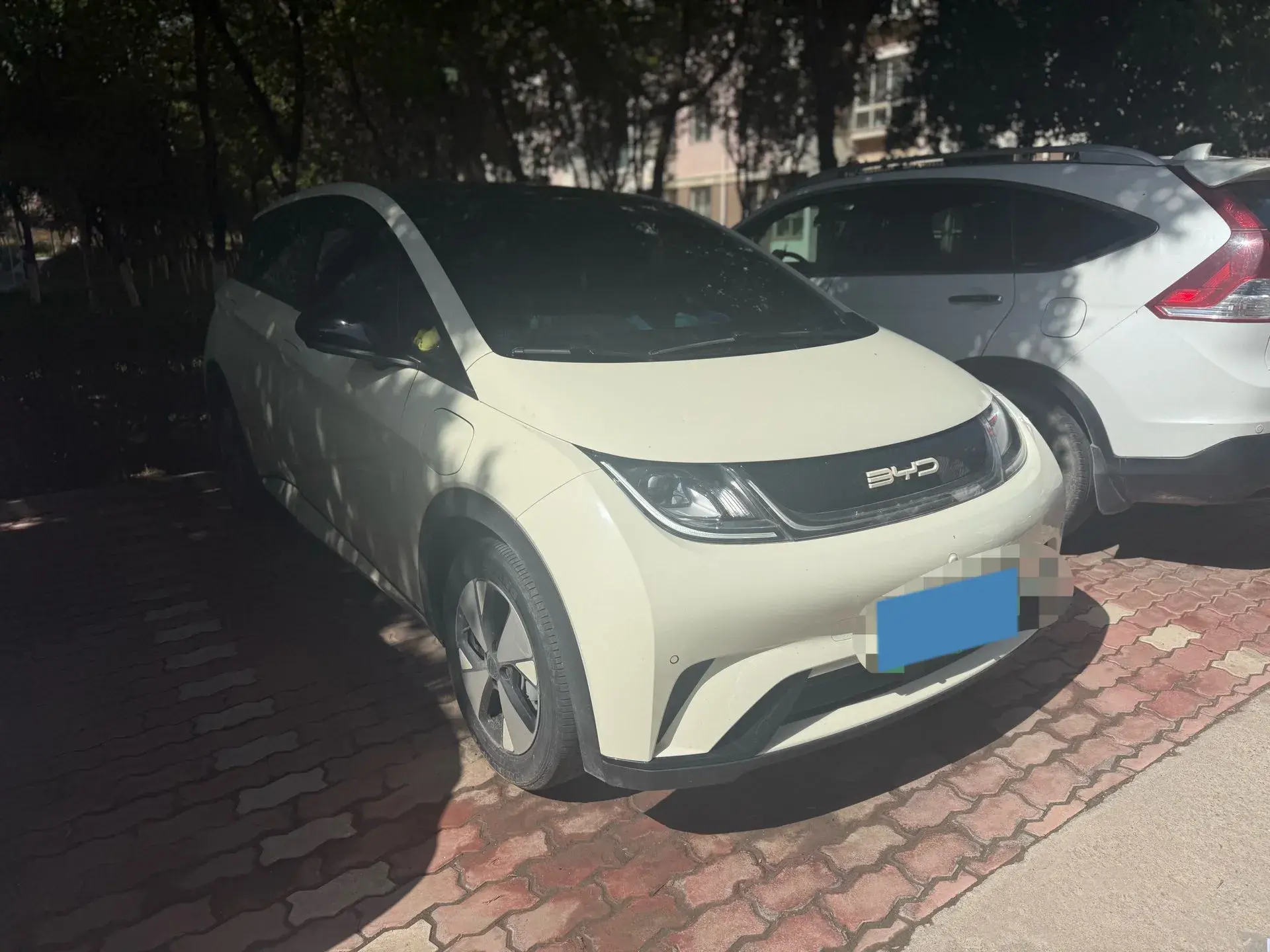 2023 BYD DOLPHIN thumbnail 4