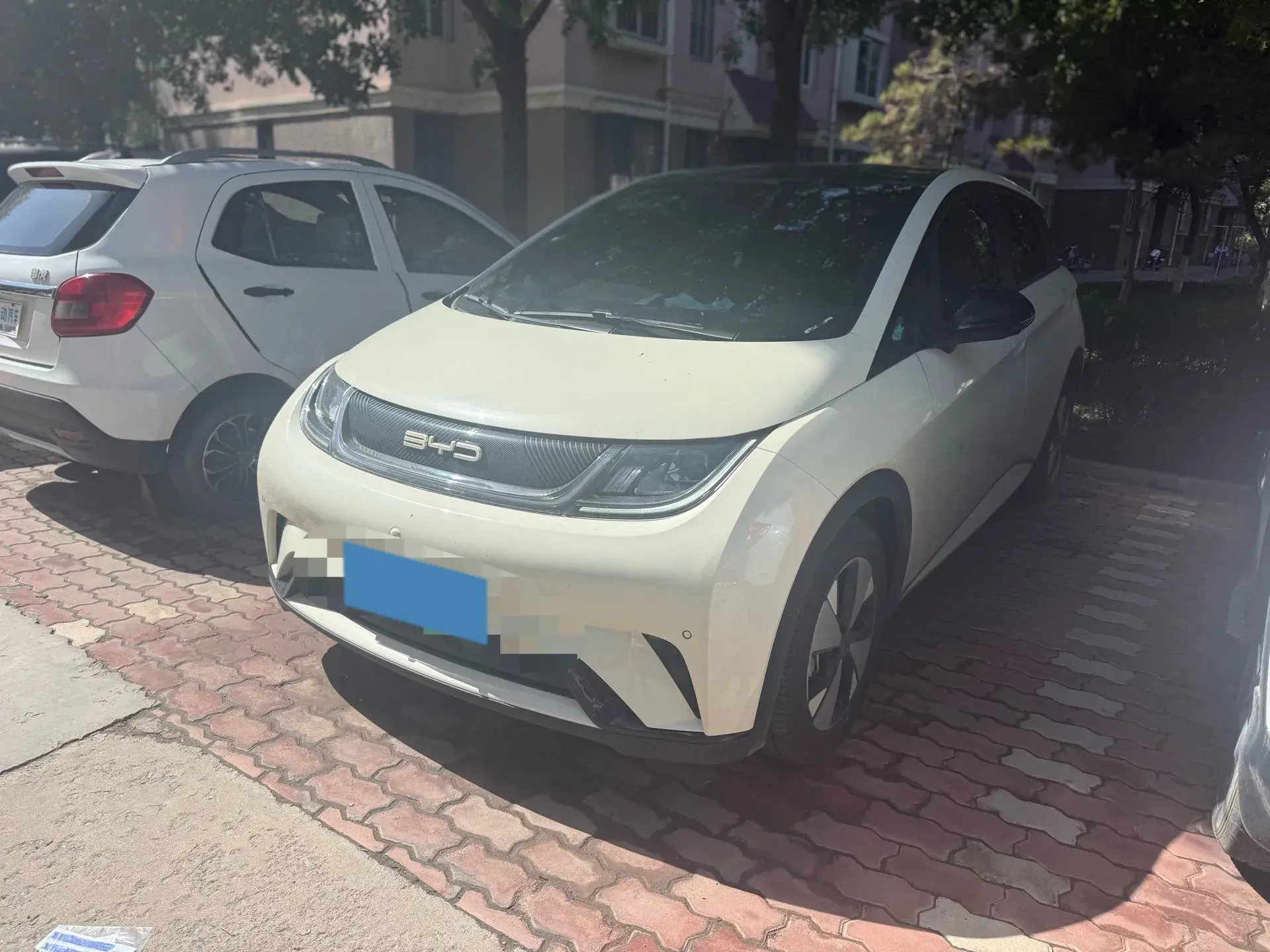 2023 BYD DOLPHIN view 1