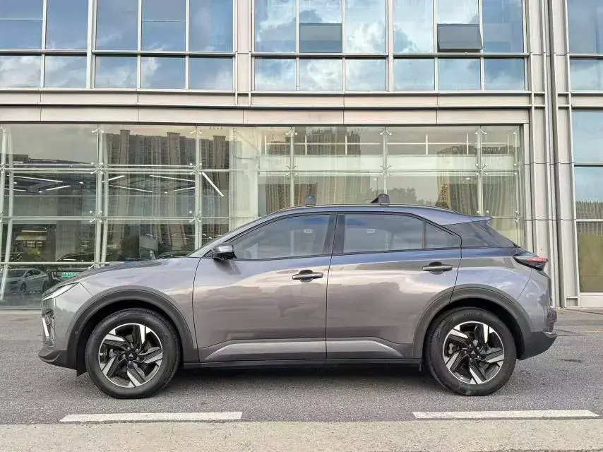 2023 NETA X thumbnail 4