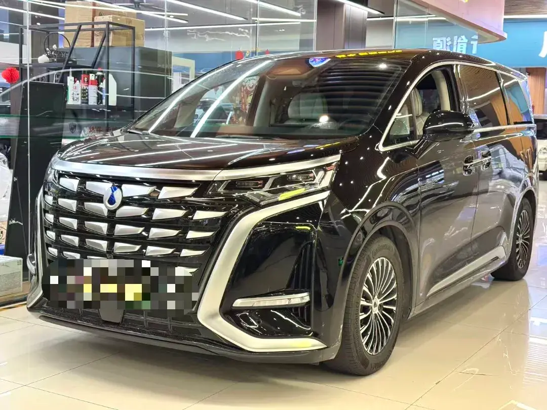 2022 DENZA D9 view 1