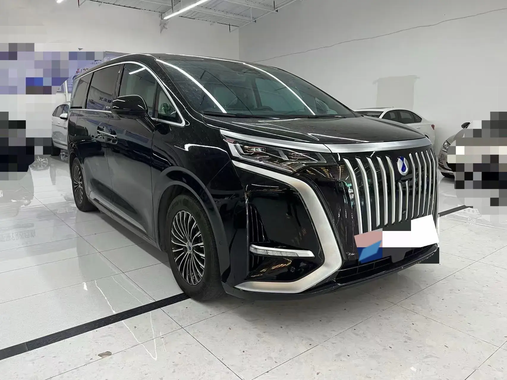 2022 DENZA D9 thumbnail 2