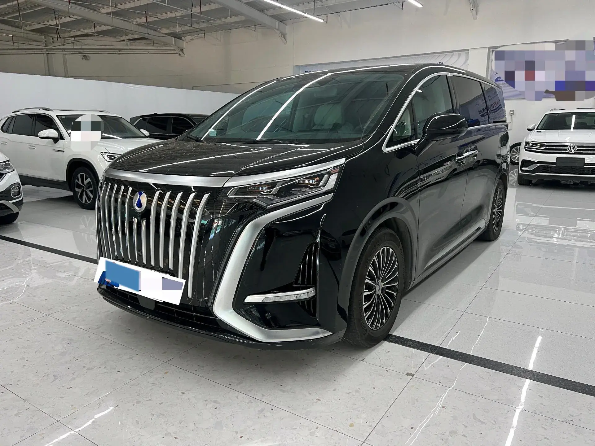 2022 DENZA D9 view 1