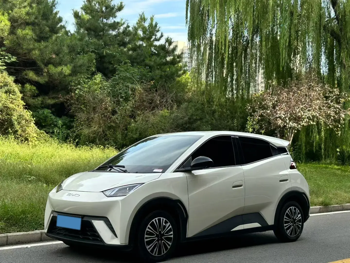 2023 BYD SEAGULL view 1