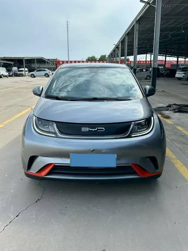 2021 BYD DOLPHIN thumbnail 2