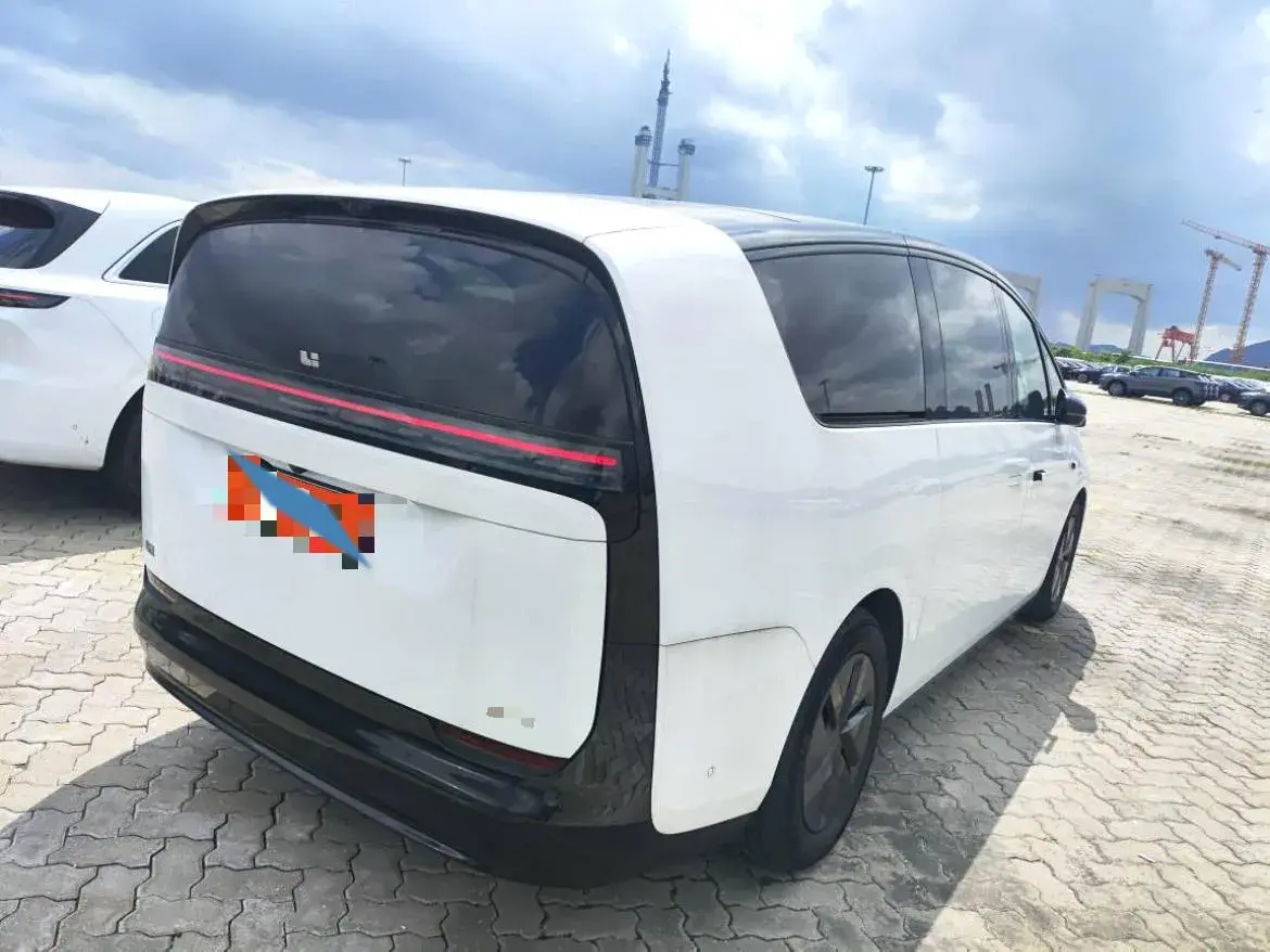 2024 LI MEGA thumbnail 2