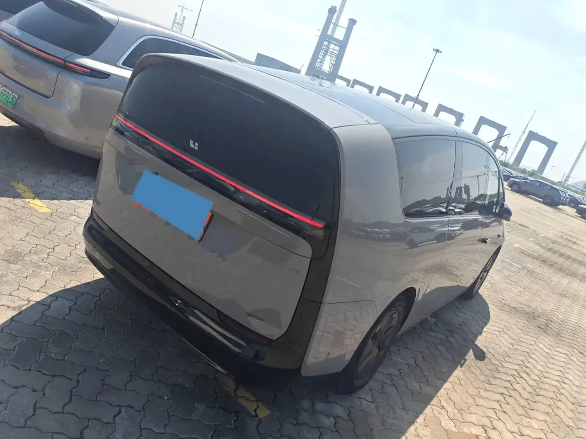 2024 LI MEGA thumbnail 2