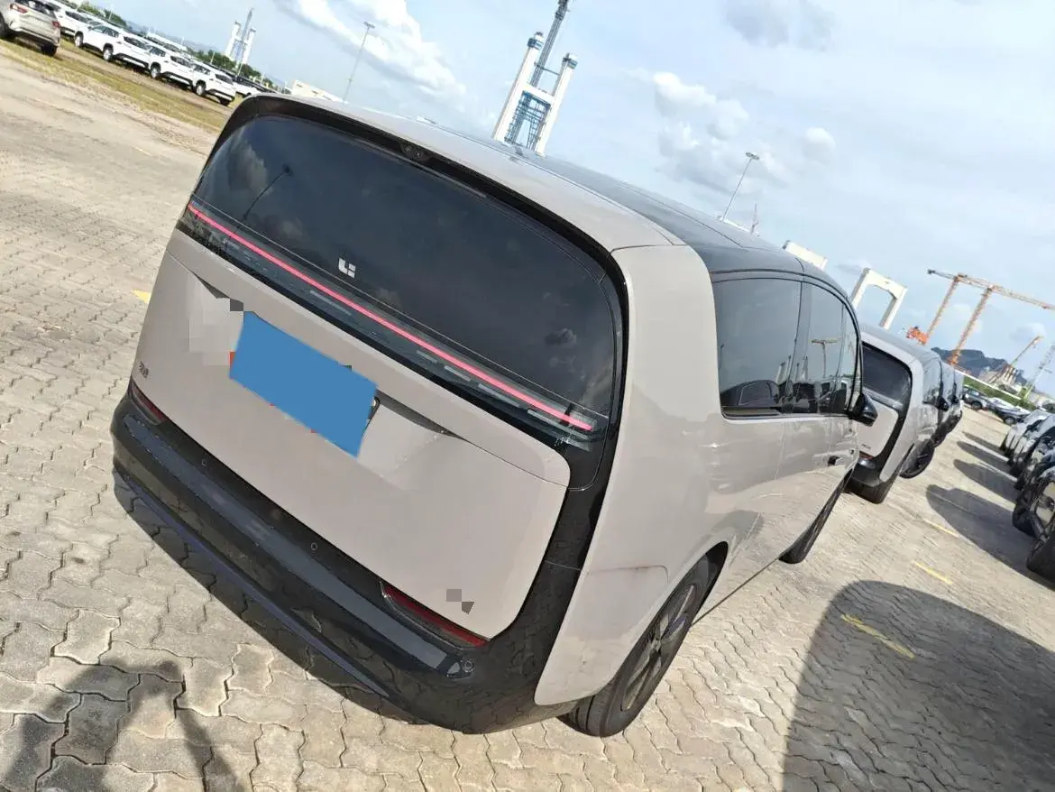 2024 LI MEGA thumbnail 2