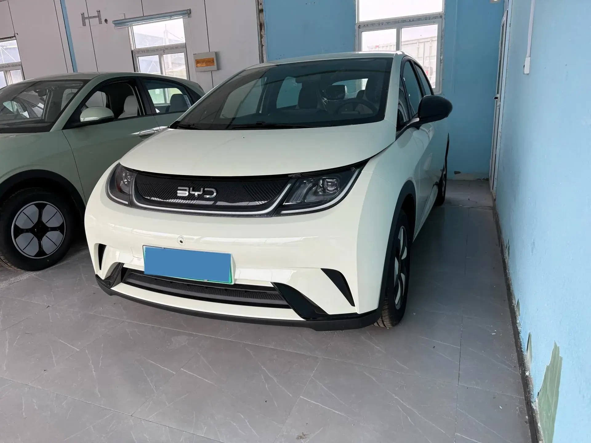 2025 BYD DOLPHIN view 1