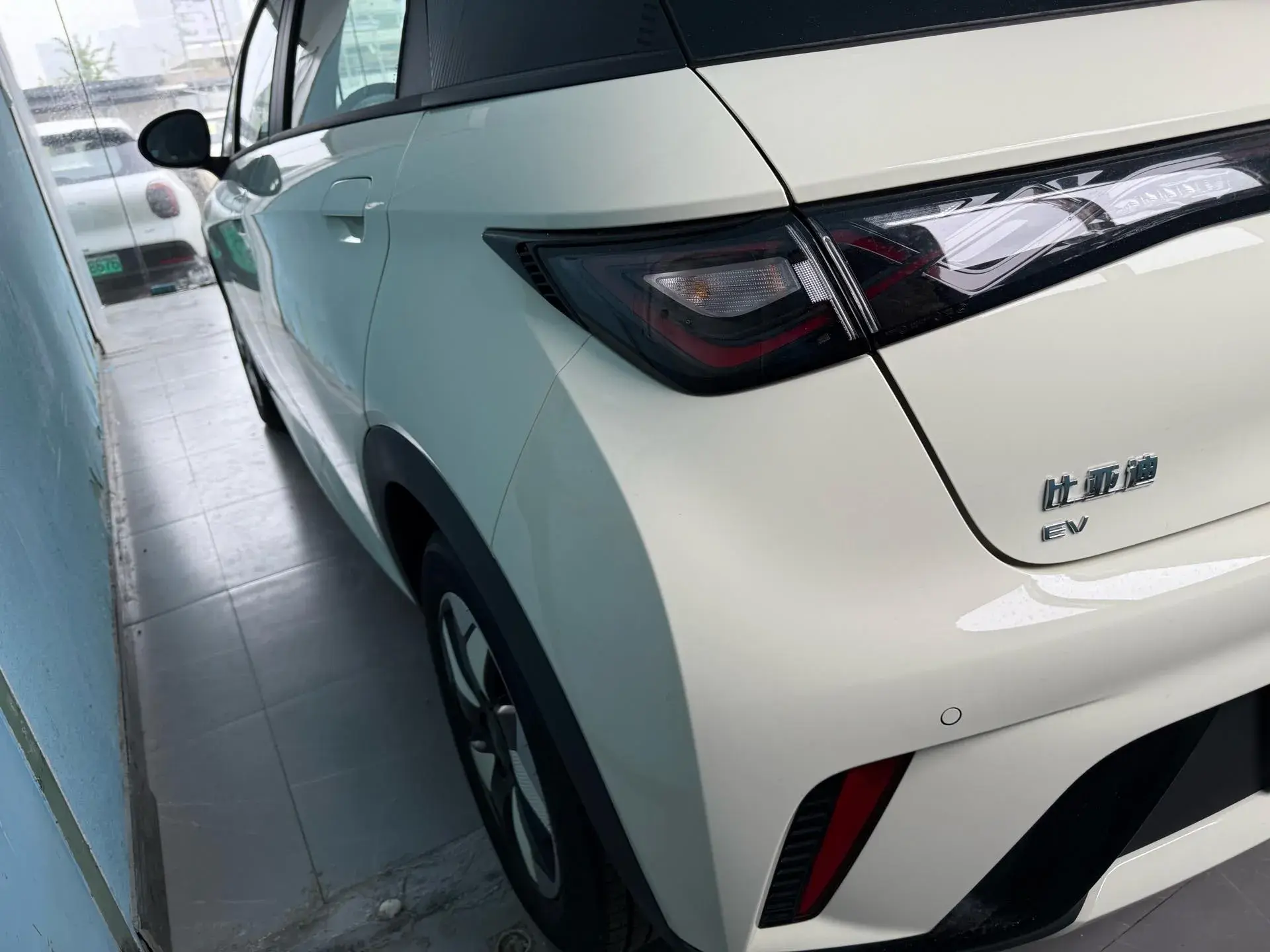 2025 BYD DOLPHIN thumbnail 4