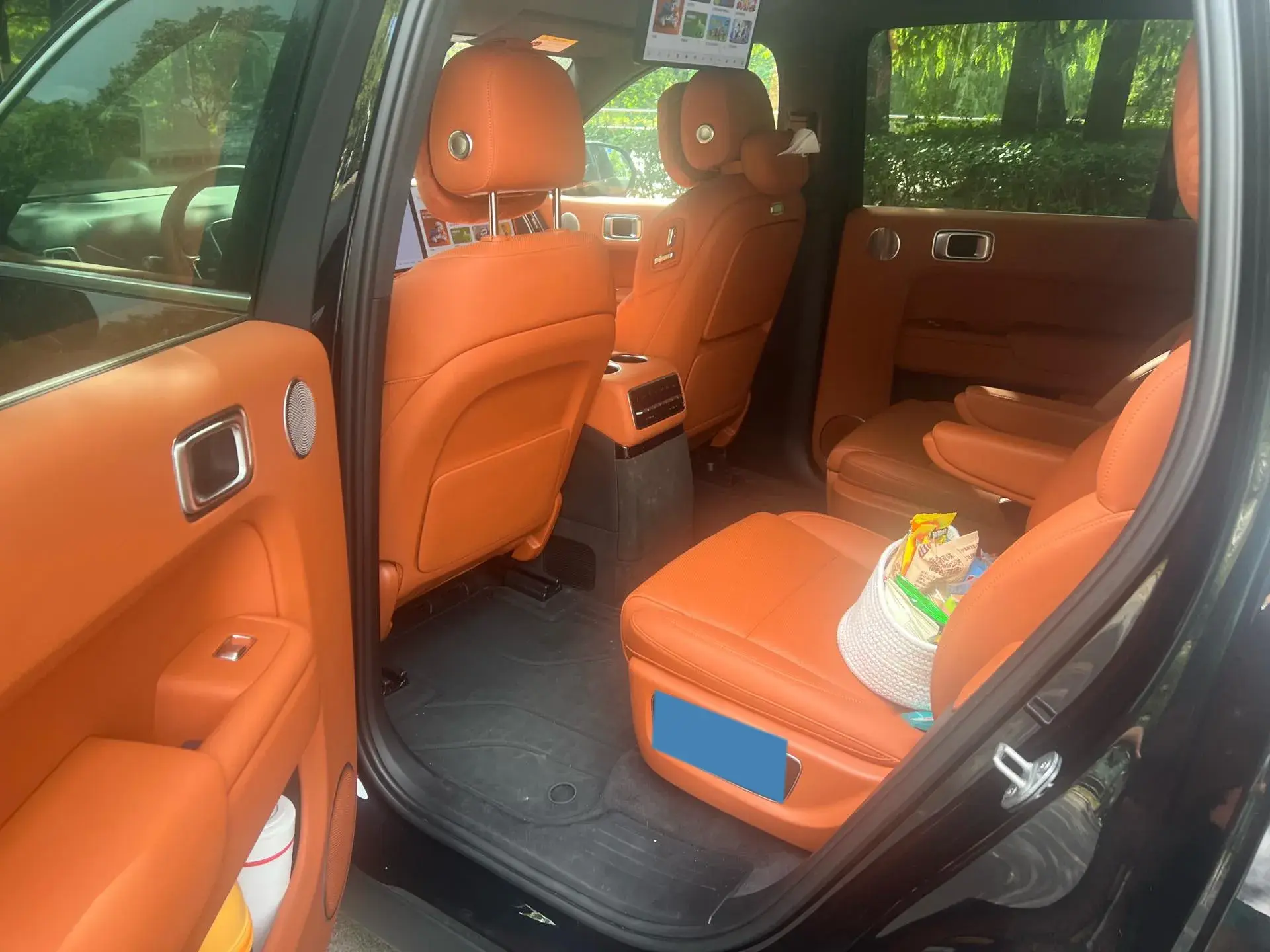 2022 LI L9 thumbnail 4