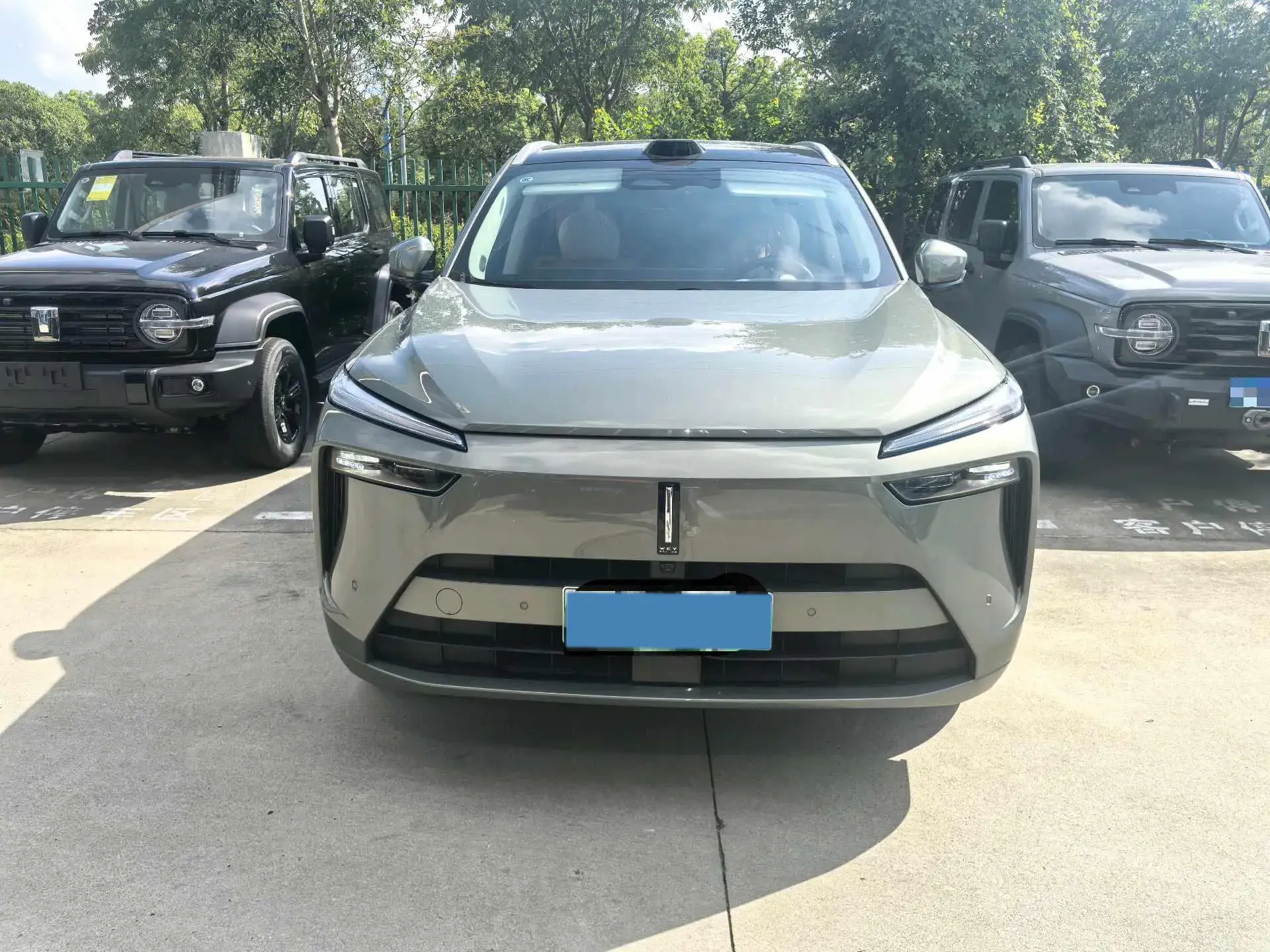 2025 WEY BLUEMOUNTAIN thumbnail 2