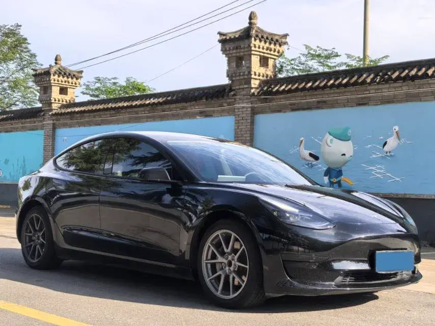 2023 TESLA MODEL thumbnail 3