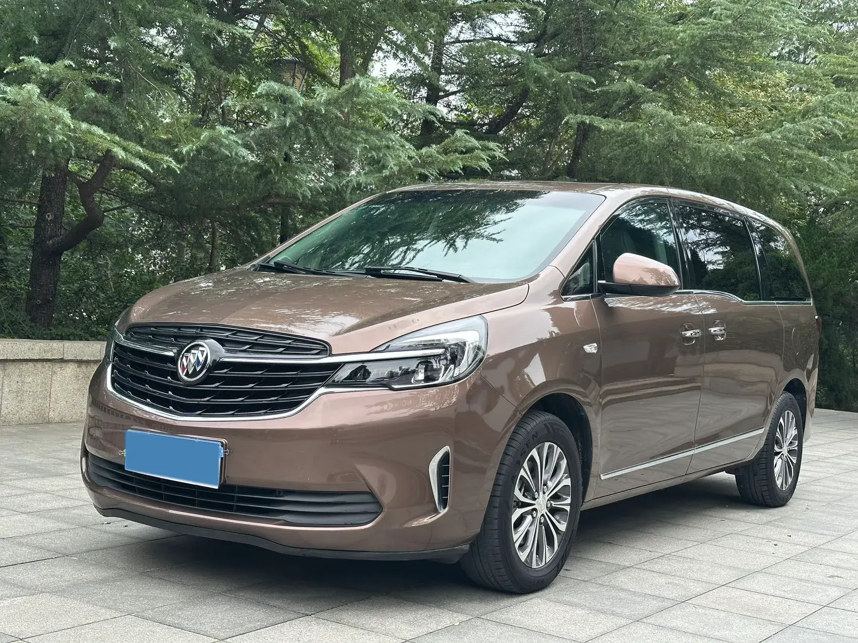 2021 BUICK GL8 view 1