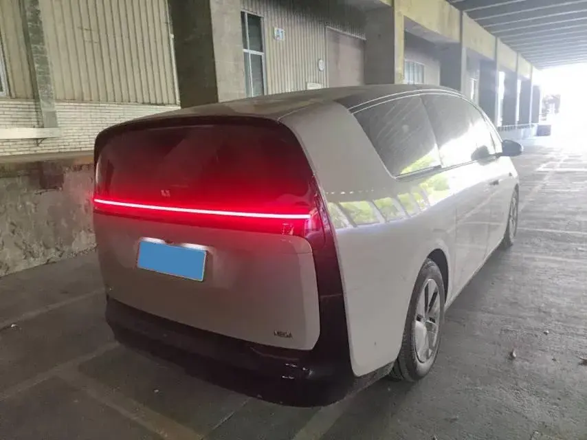 2024 LI MEGA thumbnail 2