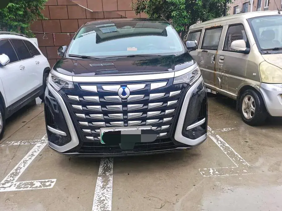 2022 DENZA D9 thumbnail 2