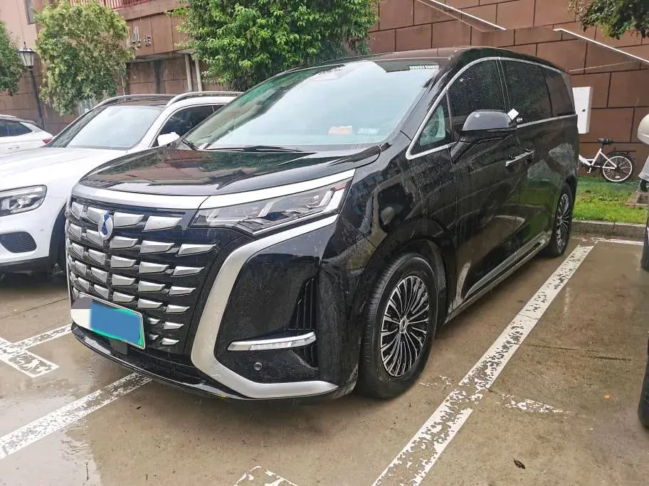 2022 DENZA D9 view 1