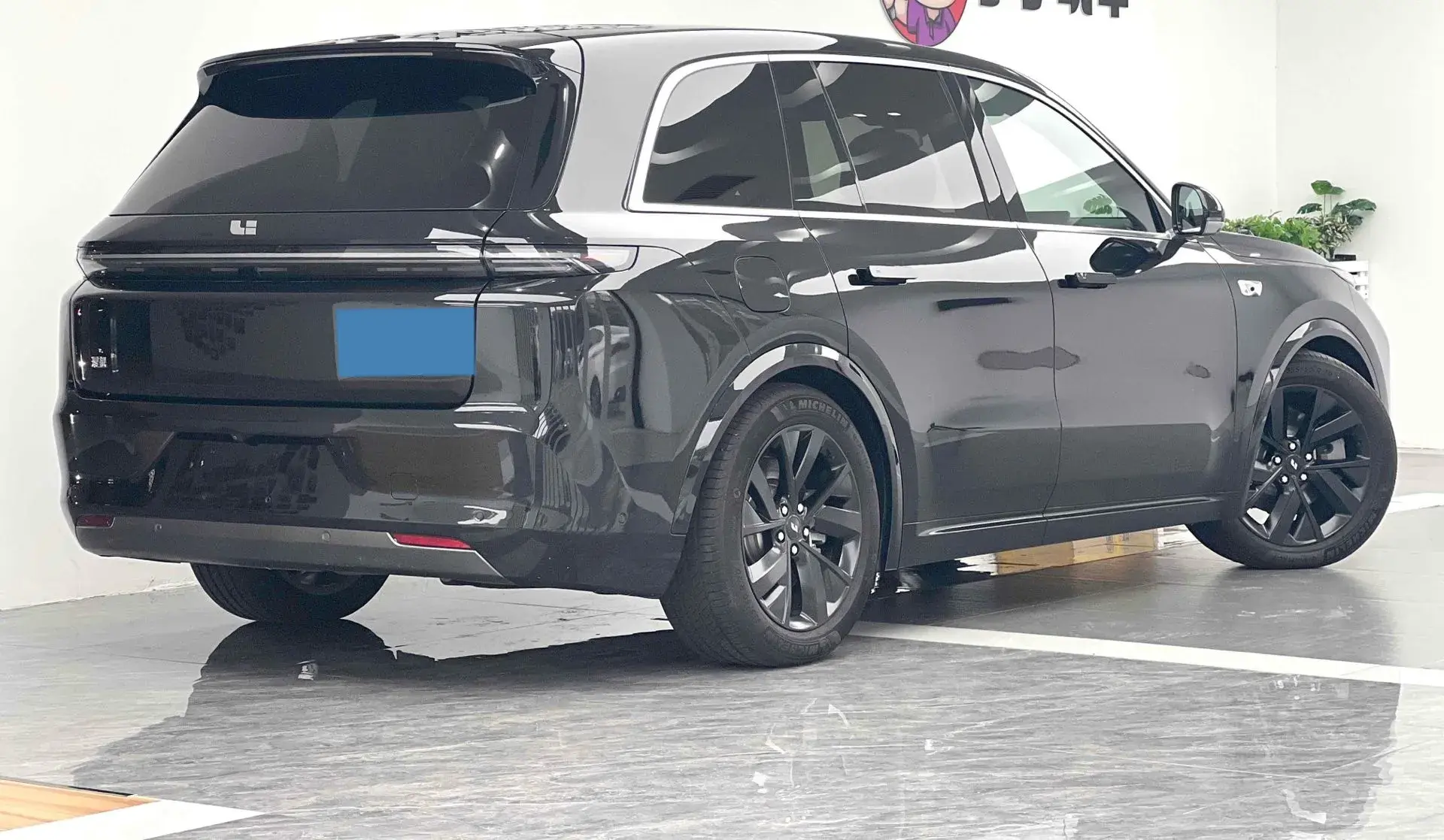 2023 LI L8 thumbnail 3