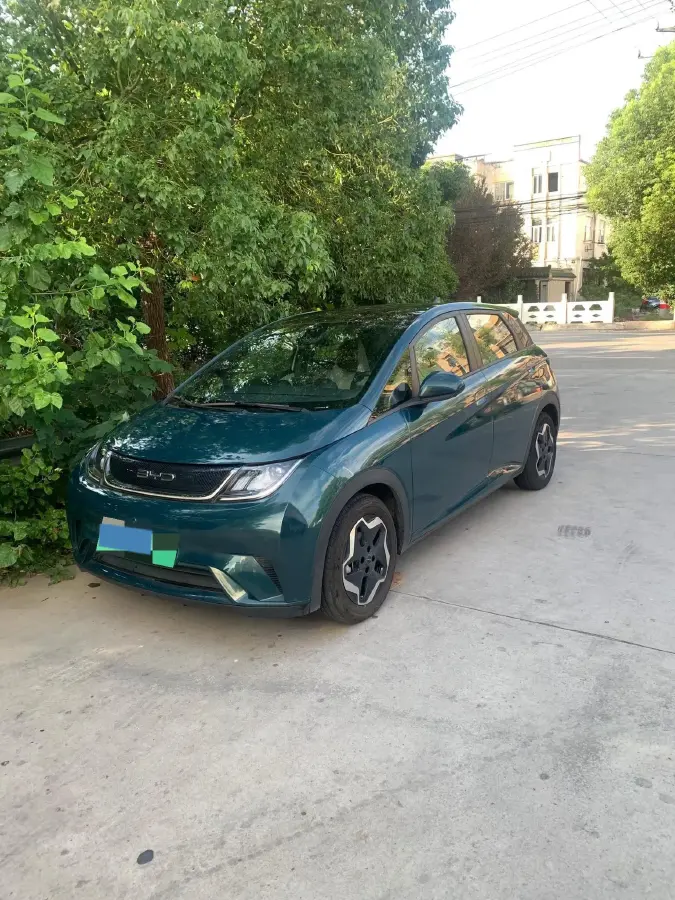 2021 BYD Dolphin BEV 44.9KWH
