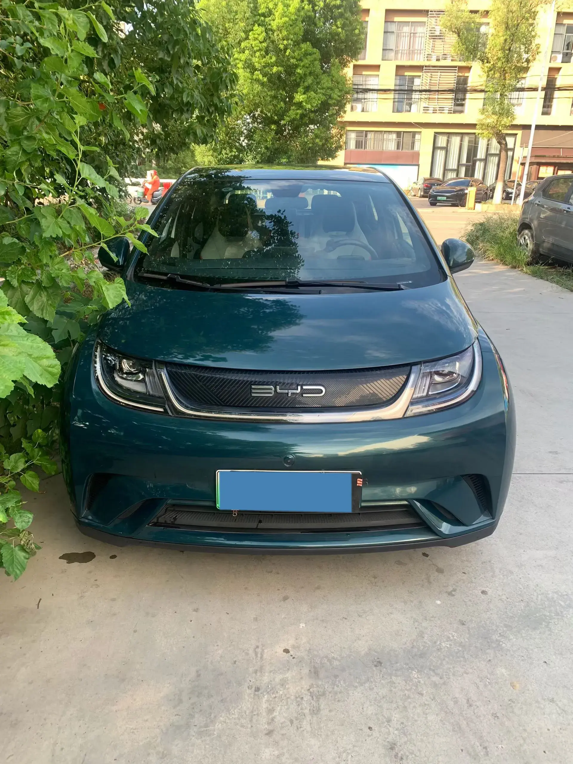 2021 BYD DOLPHIN thumbnail 3