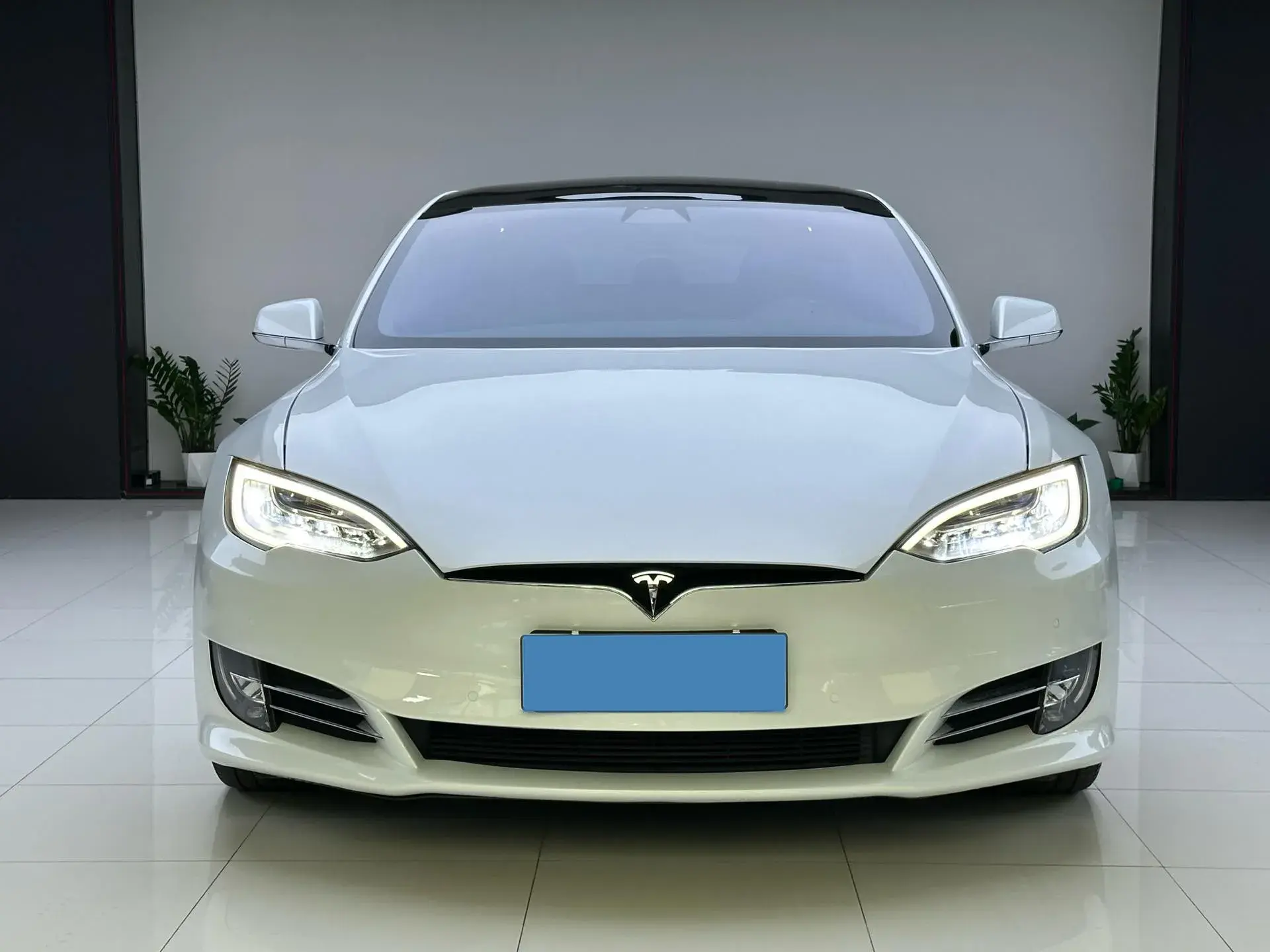 2021 TESLA MODEL thumbnail 3