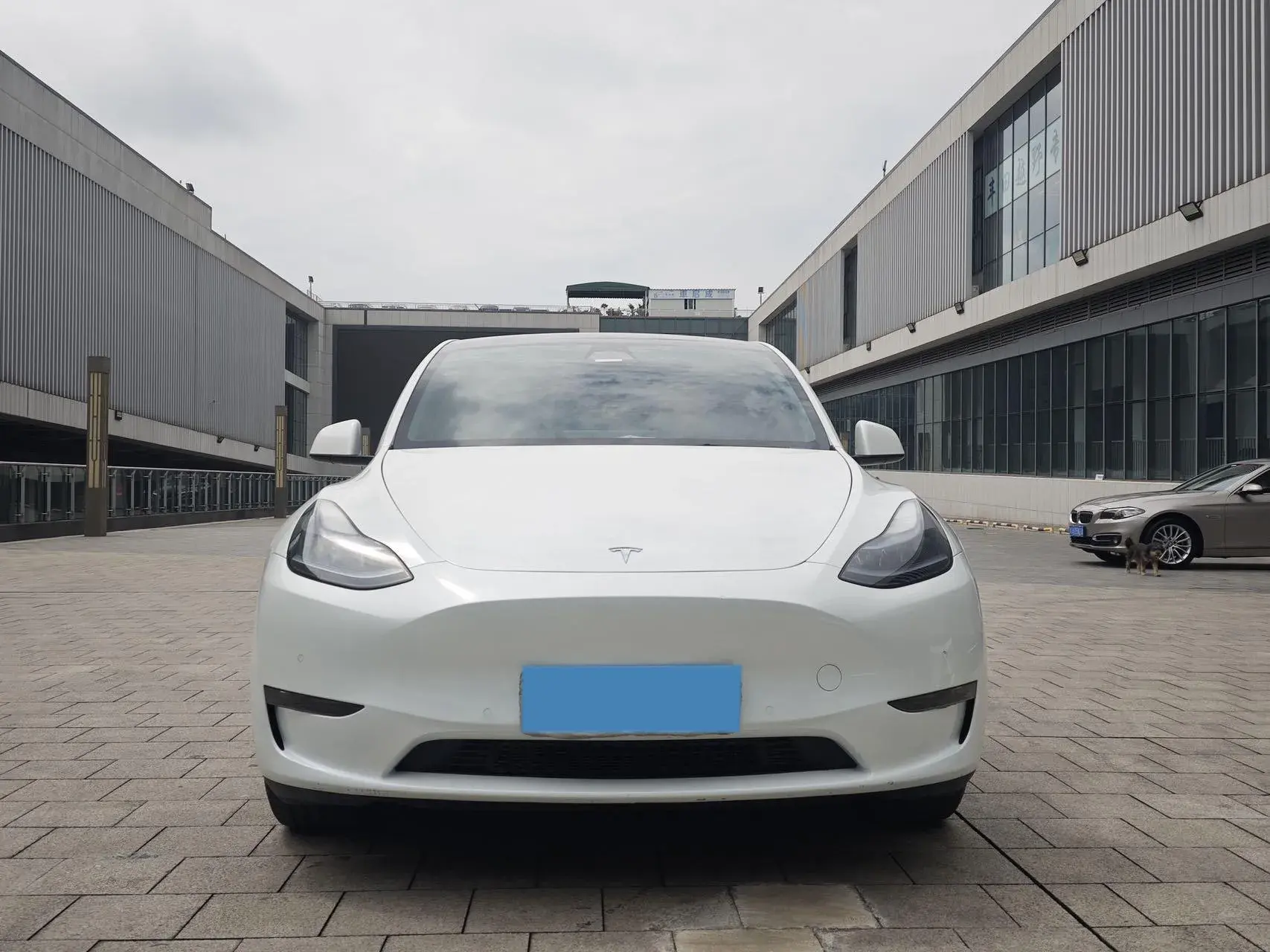 2023 TESLA MODEL thumbnail 2