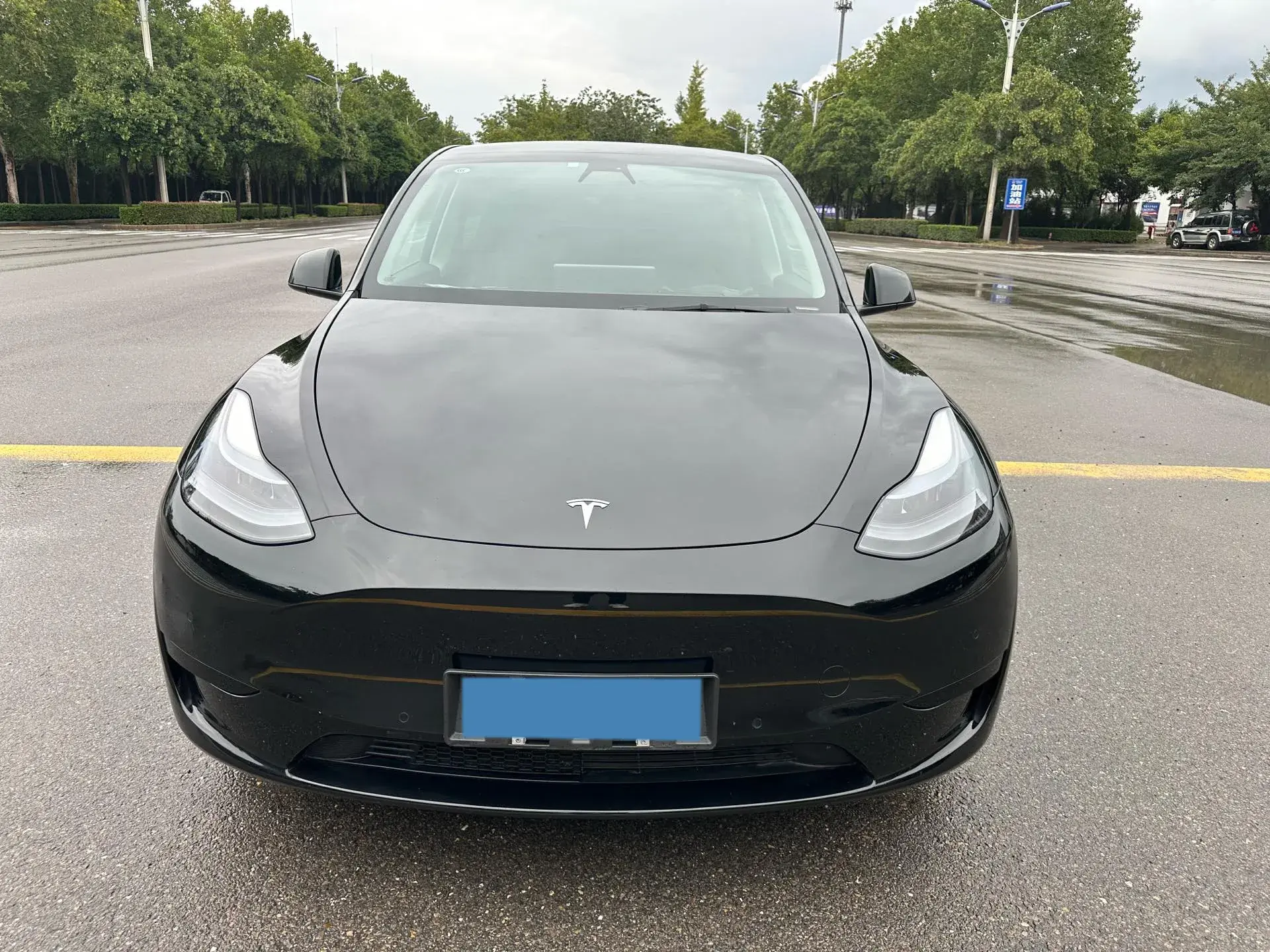 2022 TESLA MODEL thumbnail 2