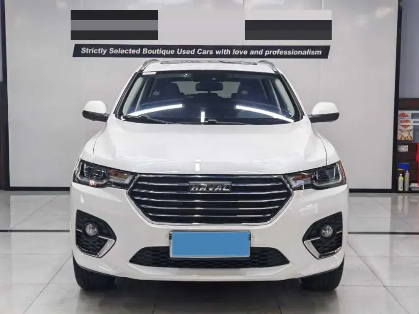 2019 HAVAL H4 thumbnail 2