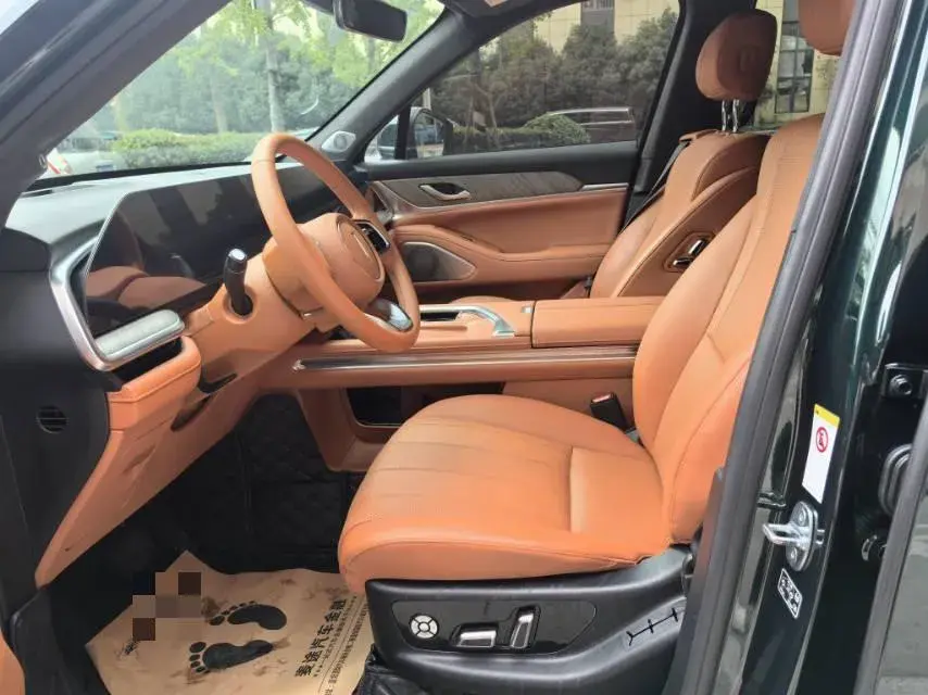 2023 WEY BLUEMOUNTAIN thumbnail 4