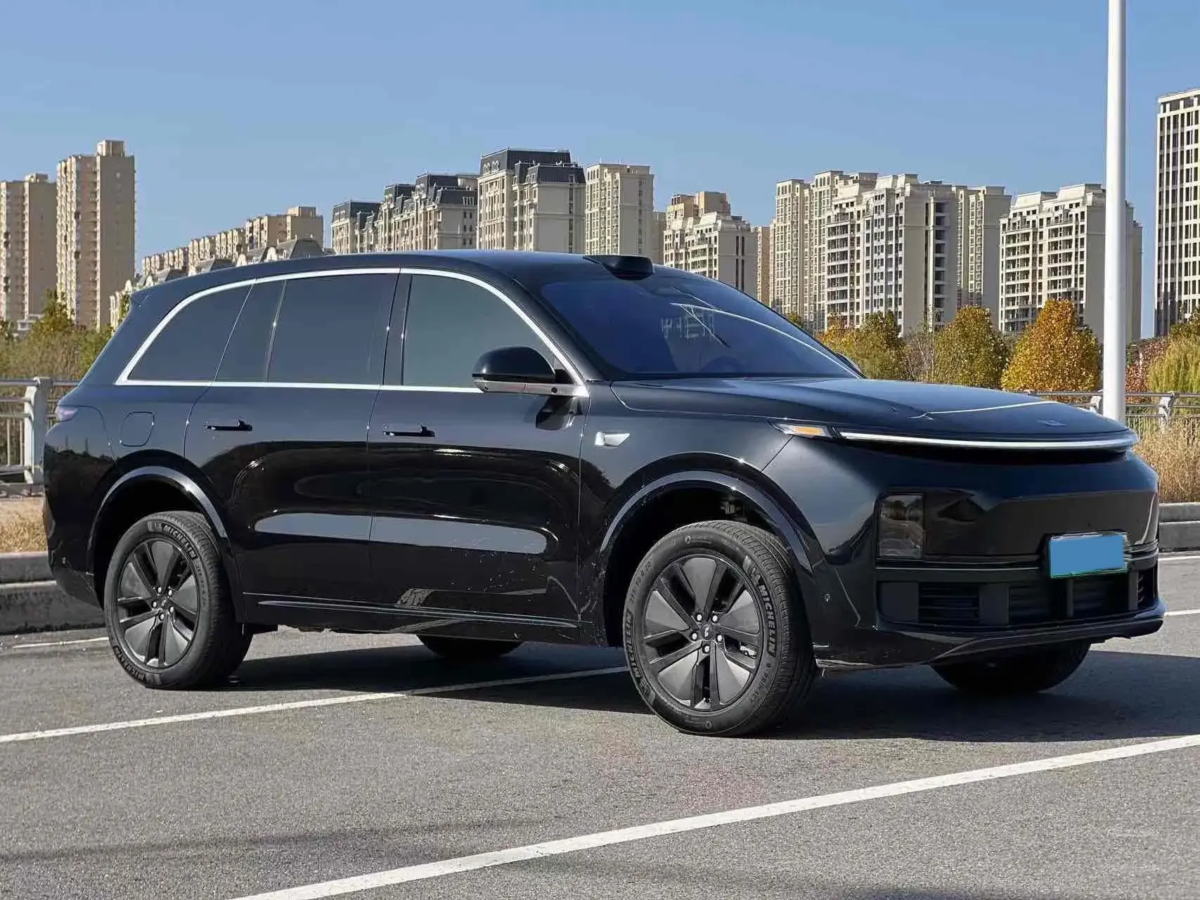 2024 LI L8 thumbnail 3